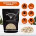 White Roasted Salted Chickpeas - Oil-Free Tasty Snack, Plant-Based Protein, Energy Boost - 5lbs Resealable Bag by Presto Sales LLC - Buy Online on GoSupps.com