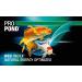 JBL ProPond All Seasons Koi Food - 1.1 kg Floating Food Sticks for Year-Round Nutrition - Buy Online on GoSupps.com