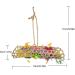 3 Packs Bird Parrot Toys Bird Chewing Foraging Shredder Toy Bird Cage Hammock Hanging Swing with Bells for Small Bird Parakeets Cockatiels Conures Budgie Lovebirds Hummingbird - Buy Online on GoSupps.com