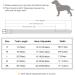 Didog Custom Engraved Leather Dog Collar - Soft Padded D-Ring for Small & Medium Dogs (33-40 cm Green) - Buy Online on GoSupps.com