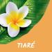 TAHITI - Tahiti Tiare Sensuelle Shower Gel - pH Neutral - Respects the Natural Skin Protection Barrier - Pack of 2 x 250 ml B - Buy Online on GoSupps.com
