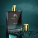 Th'e Man Company Intense Fresh Perfume For Men | Premium Luxury Long Lasting Fragrance Spray | Edp (Eau De Perfume) - 100Ml. - Buy Online on GoSupps.com