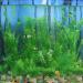 Ctpeng 23-Piece Artificial Aquarium Plants - Green & White Plastic Aquarium Decoration for International Shipping - Buy Online on GoSupps.com