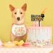 Pet Puppy Birthday Cake Topper Dog Theme Party Decoration Acrylic Pet Adoption Party Supply Black+Gold Claws - Buy Online on GoSupps.com