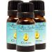 Buy Clean Essential Oil Blend | 100% Pure & Natural Aromatherapy | International Shipping - Buy Online on GoSupps.com