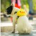 Purime nice pet dog harness set bag with a leash hiking camping outdoor puppy dishes backpack Small dog Multifunction hundred bag bag (s yellow) s yellow