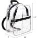 Stadium Approved Clear Mini Backpack - Heavy Duty Cold-Resistant Transparent PVC - Ideal for Work, Security, Travel & Stadium Events (Black) - Buy Online on GoSupps.com