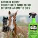 Absorbine UltraShield Green Summer Spray for Horses Livestock & Dogs 950ml Spray Bottle - Buy Online on GoSupps.com