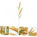 LIFKOME 2pcs Simulated Ears of Corn Artificial Grasses Bundle Home D cor Artificial Millet Ears Artificial Plants Simulation Wheat Ears Home Decor Dried Millet Desktop Pvc Straw Goldenx2pcs 12X75CMx2pcs - Buy Online on GoSupps.com
