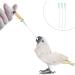 PopetPop 9-Part Babyuit Buddy Bird Tool Set - Reusable Feeding Hose & Accessories for Parrots | Small 0.7x14cm | International Shipping - Buy Online on GoSupps.com