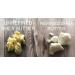 Oslove Organics Refined Organic Shea Butter 16 oz - Rich & Creamy - Buy Online on GoSupps.com