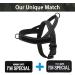 Shop Eeyfarog No Pull Dog Harness for Small & Medium Dogs - Adjustable Reflective Safe Black - Buy Online on GoSupps.com