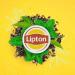 Lipton Th Noir Go t Fruits Rouges Capsules Compatibles Nespresso Vitalit Ingr dients d'Origine 100% Naturelle 80 Capsules - Buy Online on GoSupps.com