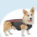 PURPLELILY Injury Support Dog Vest Aid Recovery And Improve Comfort Breathable Vest Bracer Provide Stability And Support Small - Buy Online on GoSupps.com