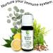Immune Restart Kids - Organic Essential Oil Blend for Immune Support | 100% Pure Therapeutic Grade Non-GMO Eucalyptus Peppermint Tea Tree Lemon Frankincense - Buy Online on GoSupps.com