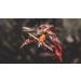 Thorn HPX 100 Grain Broadheads for Crossbows | High Performance and Accuracy - Buy Online on GoSupps.com