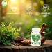 Tulsi Capsules 500 mg 60 Veg Capsules | Holy Basil Extract | Herbal Supplement | Plant-Based | Vegan-Friendly | No Preservatives | (Pack of 1) 60 Count (Pack of 1) - Buy Online on GoSupps.com