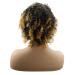 Afro Wig for Women - Brown Wavy Synthetic Curly Long Hair for 70s 80s and 60s Cosplay Parties | International Shipping - Buy Online on GoSupps.com
