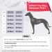 Shop Pawaii XS Dog Harness for Small Dogs - Anti-Pull Reflective Adjustable & Breathable with Handle | Ideal for Comfort & Control - Davys Gray - Buy Online on GoSupps.com