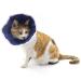QIYADIN Soft Cat Recovery Collar, Cat Cone Collar, Nonwoven Fabric Elizabeth Collar, Loops-Protective Wound Healing Specially Designed for Cats - Easy for Cats to Eat and Drink Small