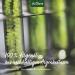 Aniforte Algae Oil for Dogs Cats & Horses - Vegan Omega-3 | 20ml - Supports Joints Metabolism Fur & Skin - Buy Online on GoSupps.com