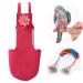 QBLEEV Bird Flight Suit Diaper with Leash,Adjustable Parrot Nappy Pee Pads,Pet Durable Diapering Cloth with Lanyard Flightline for Conures,Cockatiel,Macaw, African Grey,Budgie,Parakeet, Cockatoos XS Red