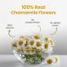 BLUE TEA - Chamomile Flower Tea - 60 gm (Pack of 2) | FARM PACKED for Freshness | Pure Whole Flower Buds of Chamomile | Caffeine Free | Herbal Tea - Buy Online on GoSupps.com