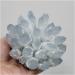 Natural Blue Phantom Quartz Crystal Cluster Rock Stones Reiki Specimen Home Deco Crystal Cluster - Buy Online on GoSupps.com