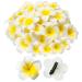 Crowye 100 Pieces Mixed Size Artificial Plumeria Flower Hat Hair Clips White Foam Hawaiian Frangipani Tropical Hawaiian Flower Hair Clips for Women Girls Hawaii Luau Beach Party Wedding Accessories