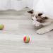 NC Cat Toys Balls Regerly 20Pcs Pet Cat Dog Toy Balls Rainbow Soft Foam Balls for Small Dogs Puppies Puppy Kitty Quiet Indoor Outdoor Play Activity Chase Training - Buy Online on GoSupps.com