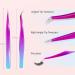 Rose Blue Lash & Precision Tweezers Set for Women and Men - Ideal for Eyebrow, Facial Hair, Beards, and Ingrown Hair Removal - Buy Online on GoSupps.com
