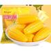 Corn Soft Candy Sweet Corn Flavor 17.7 oz(500 Gram) Chinese Candy Soft Candy Cream Corn Candy Chewing Milk Candy Leisure Snacks (53.1 oz(Pack of 3)) - Buy Online on GoSupps.com