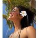 3Pcs Hawaiian Flower Hair Clips for Women Fashion Bohemian Flowers Hair Clip 3.5 Inch Artificial Flower Clips for Vacation Dancer Bridal Wedding Beach Party - Buy Online on GoSupps.com