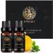 Aromatherapy Lemon Essential Oil Set for Diffuser 100% Pure Clove Essential Oil Fragrance Set for Humidifier 2x10ml 100% Pure Lemon Essential Oils Aromatherapy Clove Oils Set for Air Freshener - Buy Online on GoSupps.com