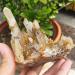 Natural Crystal Rough Natural Crystal 300g Stone Crystal Cluster Natural raw Material Quartz Crystal Cluster - Buy Online on GoSupps.com