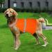 Fluorescent Orange Reflective Safety Vest for Dogs - Adjustable Warning Vest with Velcro Fastener | M Size - Enhance Night Safety - Buy Online on GoSupps.com