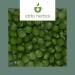 Bio Chlorella 500mg - Organic Vegan Microalgae Tablets (1000 pcs) | 100% Pure & Natural Chlorella Vulgaris for Optimal Health - Buy Online on GoSupps.com