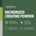 Micronized Creatine Monohydrate Powder - 5g Unflavored Post-Workout Recovery for Lean Muscle Mass Endurance and Energy Production - Easy-to-Mix - Vegan Non-GMO Gluten-Free - 60 Servings 60 Servings (Pack of 1) - Buy Online on GoSupps.com