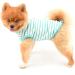 Paidful British Dog Shirt - Striped Cat Vest Soft Cotton T-Shirt for Boys Summer Puppy Clothing Breathable Tank Tops XL (Green) - Chihuahua & Yorkie Fashion - Buy Online on GoSupps.com