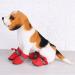 4Pcs/Set Pet Dog Boots Anti-Slip Waterproof Dog Shoes Anti-Skid Dog Boots Pad Pet Winter Warm Snow Boots for Small Dogs with Adjustable Fastening Strap Soft Pad (#4-Red)