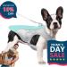 Dog Cooling Vest & Coat - Adjustable Absorbent Jacket for All Breeds | Perfect for Summer & Hot Weather - Size M Blue - Buy Online on GoSupps.com