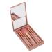ABS Mini Makeup Brush Set - 5 Lightweight & Portable Brushes | Skin Friendly & Easy to Hold | Ideal for Beginners & Travel - Buy Online on GoSupps.com