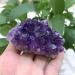 100-120g Natural Stone deep Amethyst Quartz Crystal Cluster Specimen - Buy Online on GoSupps.com