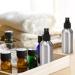 YOUEON 12 Pack 120ml Metal Spray Bottles - Refillable Aluminum Atomizers for Travel Cleaning & Gardening | Reusable Empty Spray Bottle - Buy Online on GoSupps.com