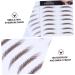 Hemoton 4pcs Eyebrow Stickers Brow Stickers Eyes Transfer Stickers Water Transfer Paper with Soy Ink Modify - Buy Online on GoSupps.com