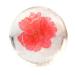 TOVINANNA Transparent Soap Aromatherapy Soap Bathing Soap Face Washing Soap Flower Design Soap Clothes Soap Scented Soap Shower Soap Acid Soap Handmade Soap Flowers Clean Essence Etc.