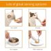 Catit Creamy Healthy & Hydrating natural grain free lickable squeezy Cat Treat sticks 80 x 10g (20ea chicken tuna salmon lamb) tubes in reusable gift jar Mixed - Buy Online on GoSupps.com