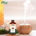 Cinnamon Essential Oil - Pure Cinnamomum Verum for Skincare & Aromatherapy - 118ml/3.99fl oz - Natural & Organic - Buy Online on GoSupps.com