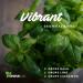 SenseLAB Basil Essential Oil - 100% Pure Therapeutic Grade Extract for Diffuser, Humidifier, Focus, Relaxation, Hair Care, Outdoor Protection - 10ml - Buy Online on GoSupps.com