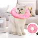 Cat Cone Collar Pet Recovery Collar for Cat Kitten Puppy Soft Elizabeth Collar for Cats Small after Surgery Cat Cone Collar Anti Scratch Soft Cotton Adjustable Cat Buster Collar Small(S) - Buy Online on GoSupps.com